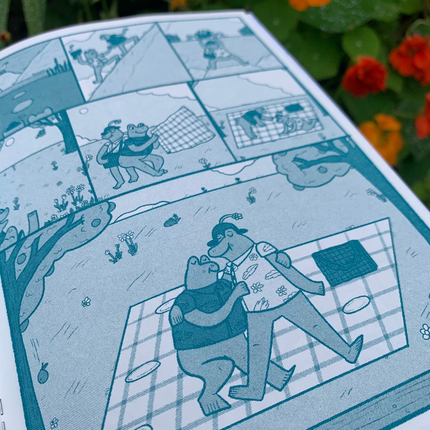 Frogs in Love Zine