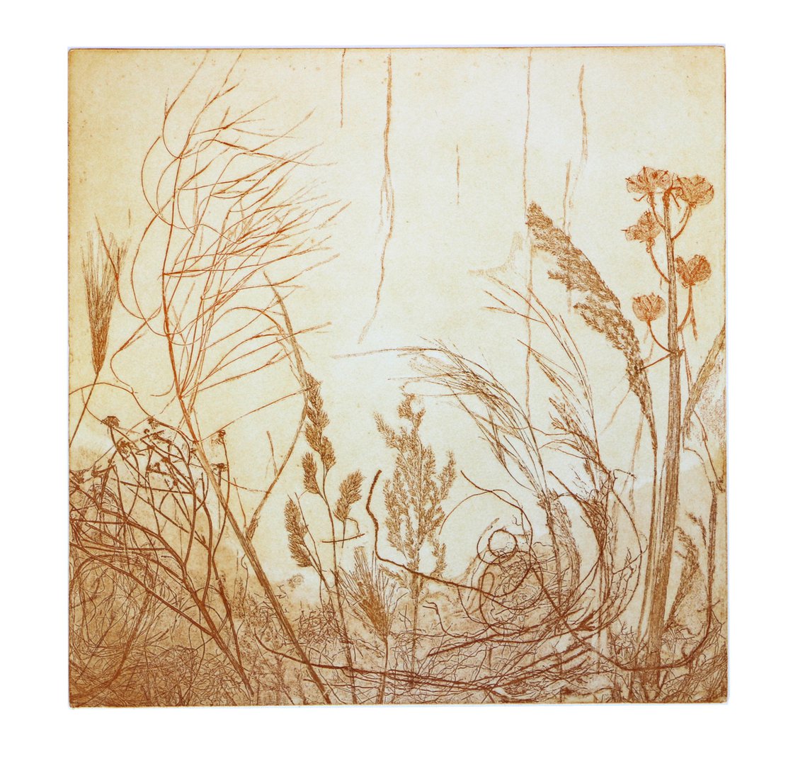 Grasses