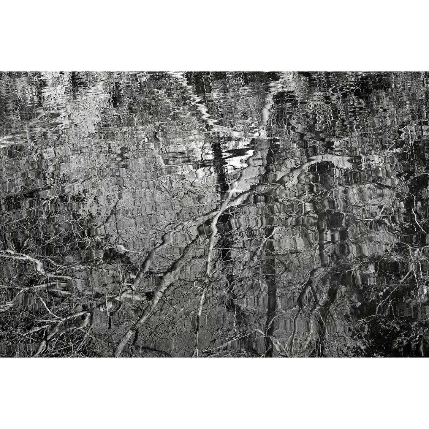 The puzzle of water