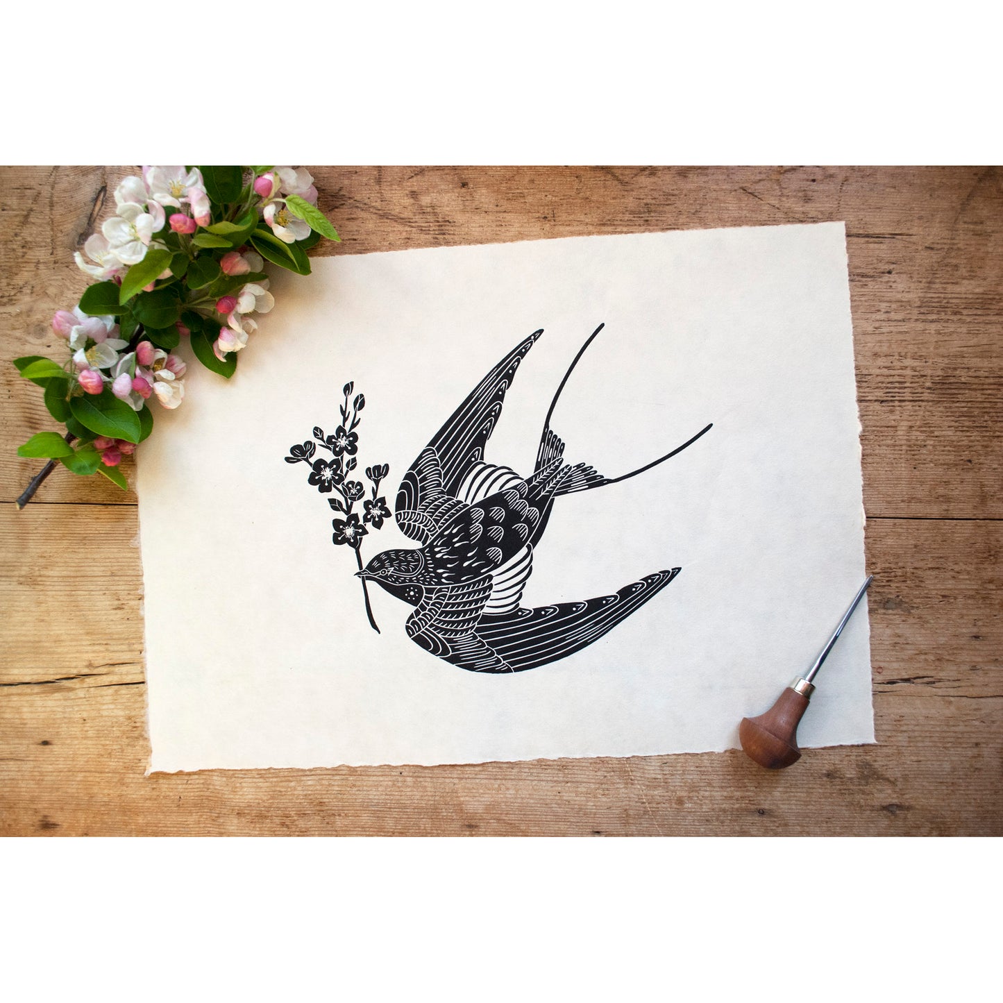 Swallow