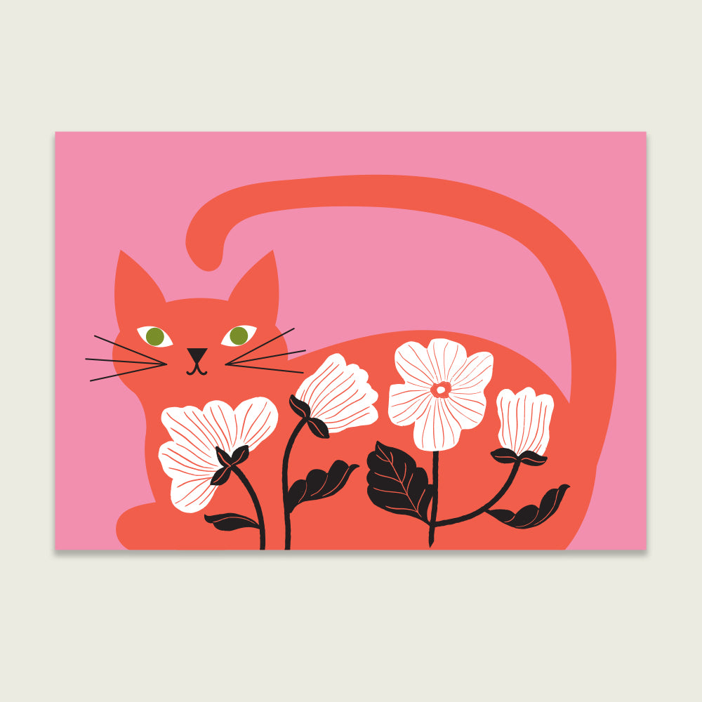 Ruby Red Cat