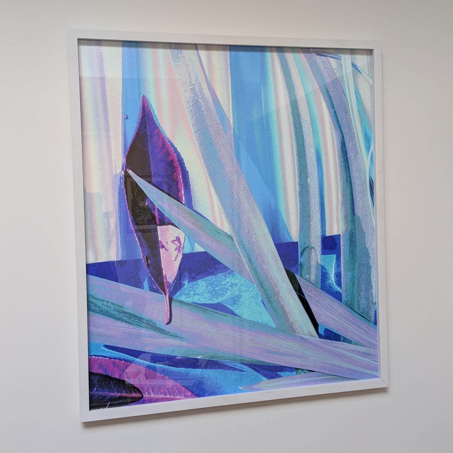 Light in Water, 2026