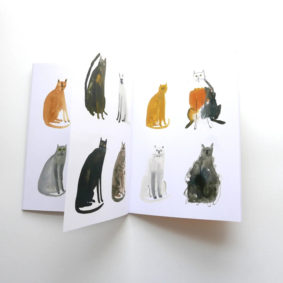 One Hundred Curious Cats Zine