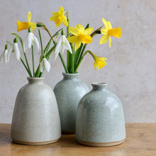 Load image into Gallery viewer, Stem Vase