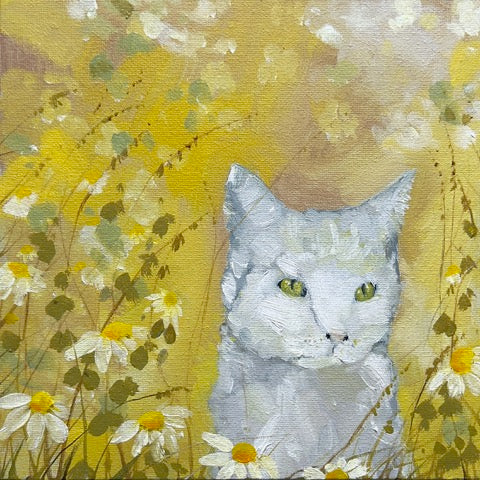 White Cat & Daisies