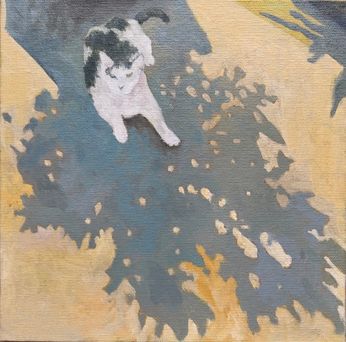 Cat in Shadow