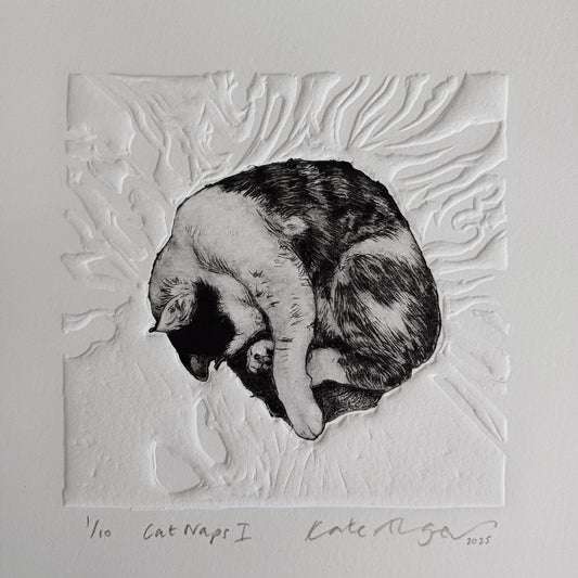 Cat Naps I