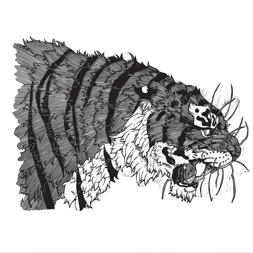 Nightwatch: The Tiger