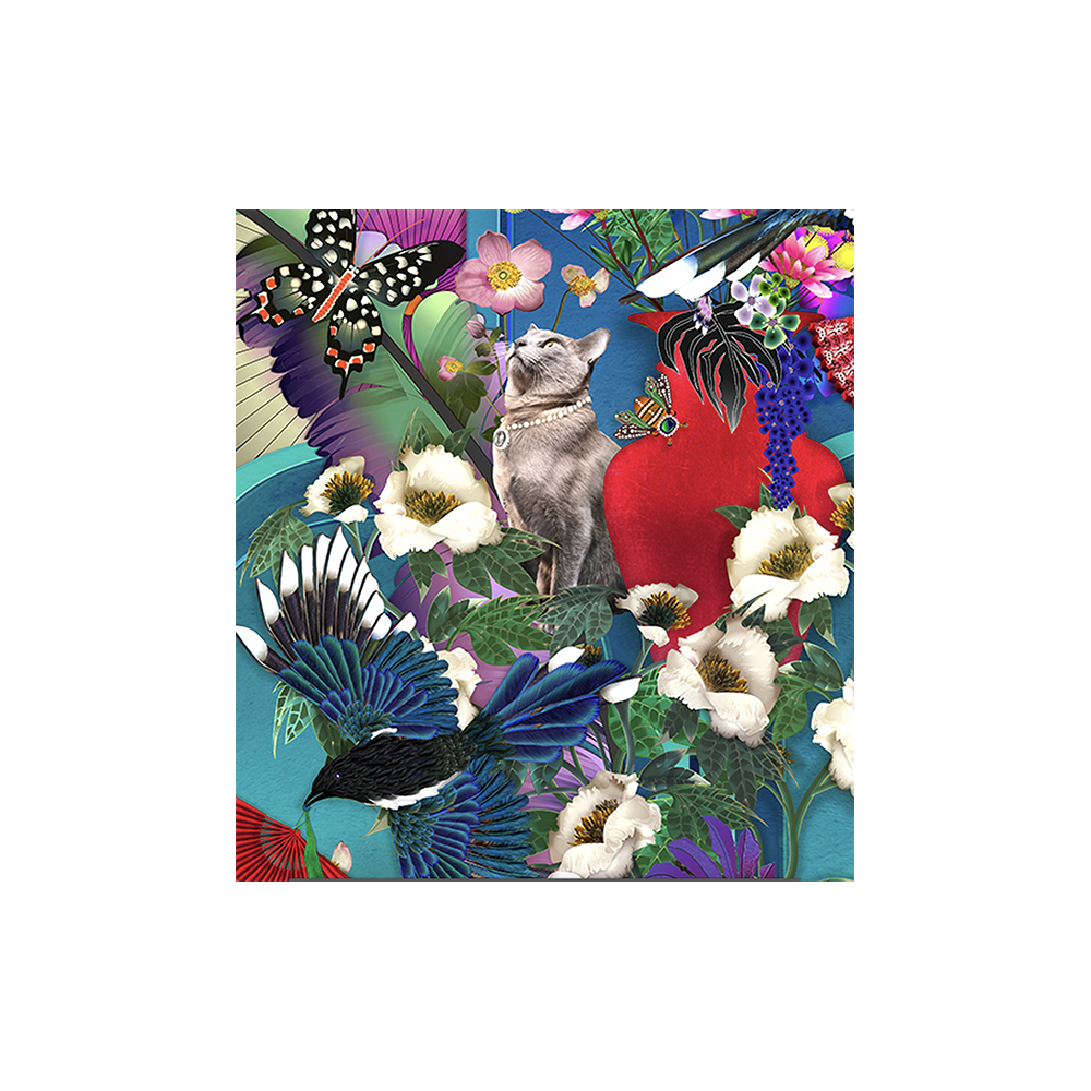 THE PUSSY CAT AND THE MAGPIE