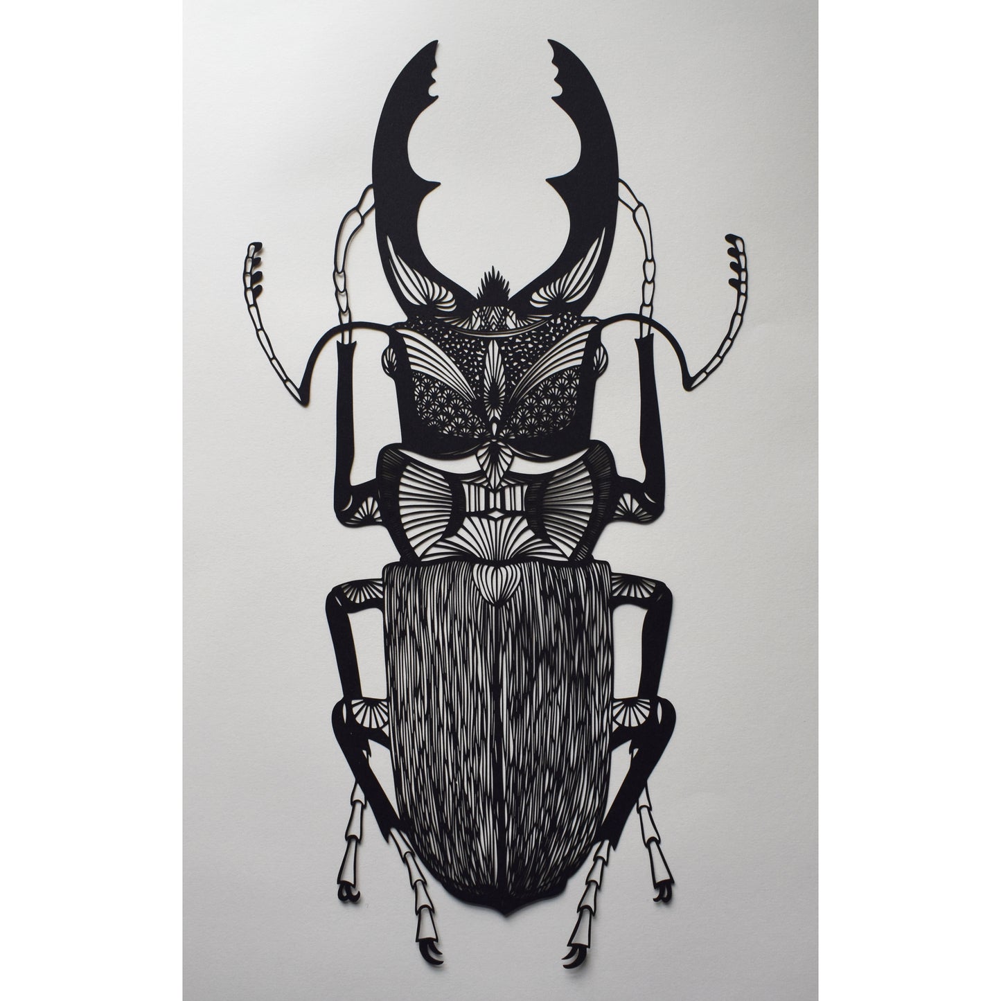 Stag Beetle Laser Cut