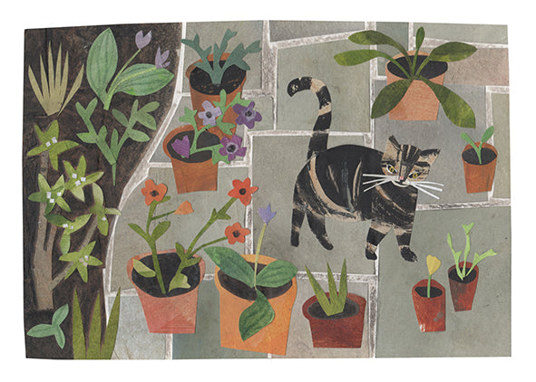 Winnie in The Yard