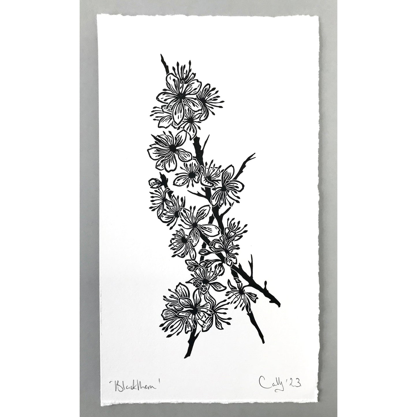Blackthorn Print