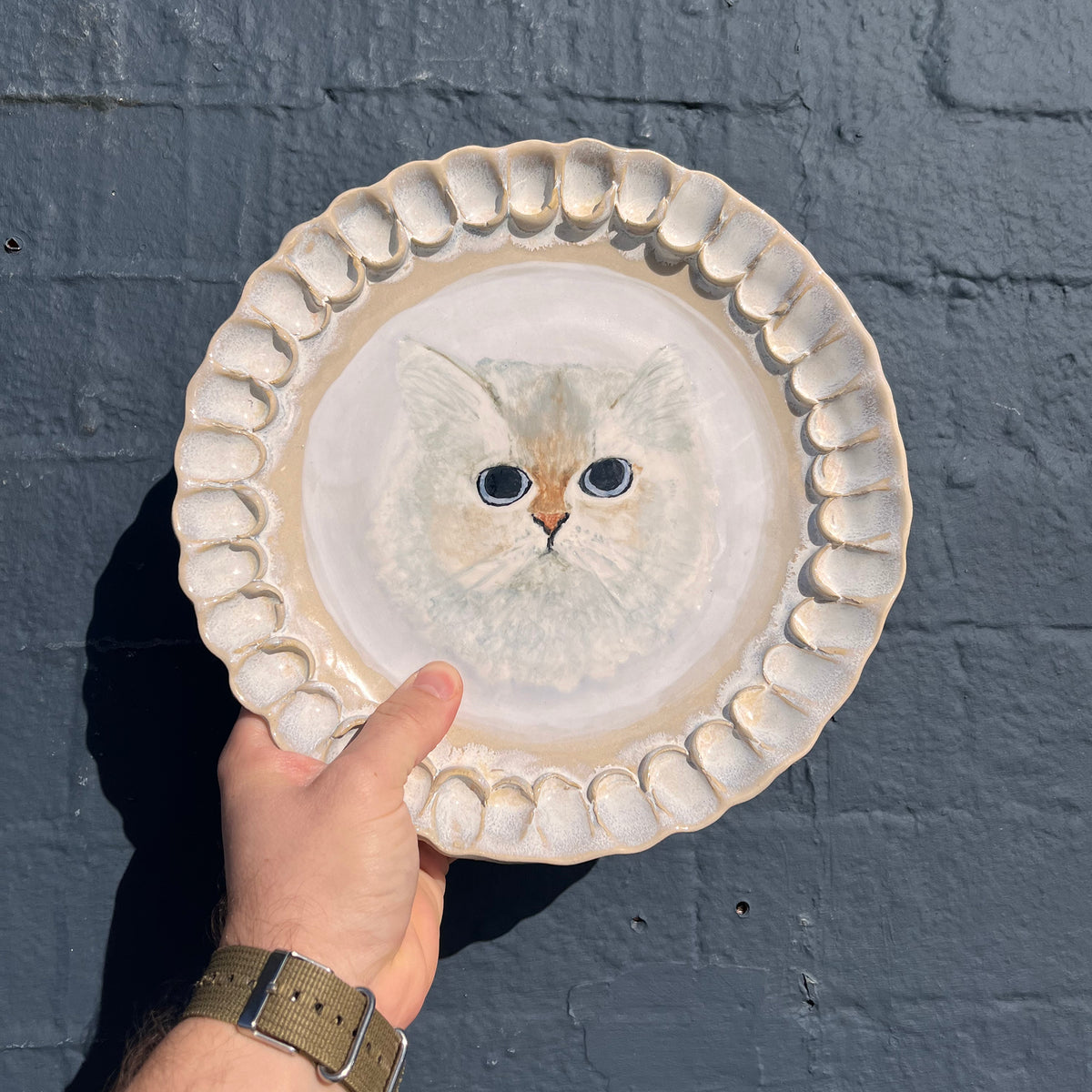Nova