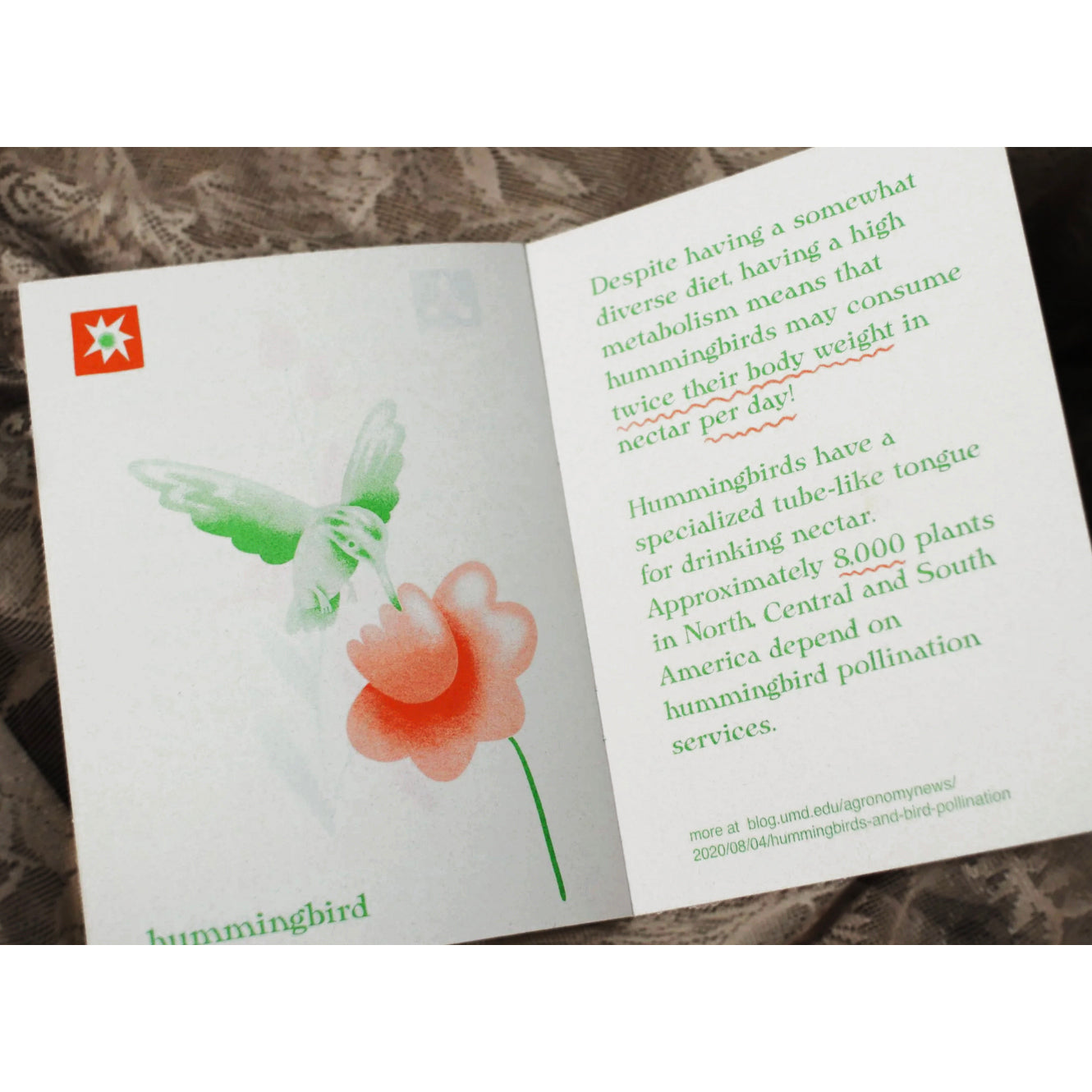Hey, we're Pollinators, too! Zine