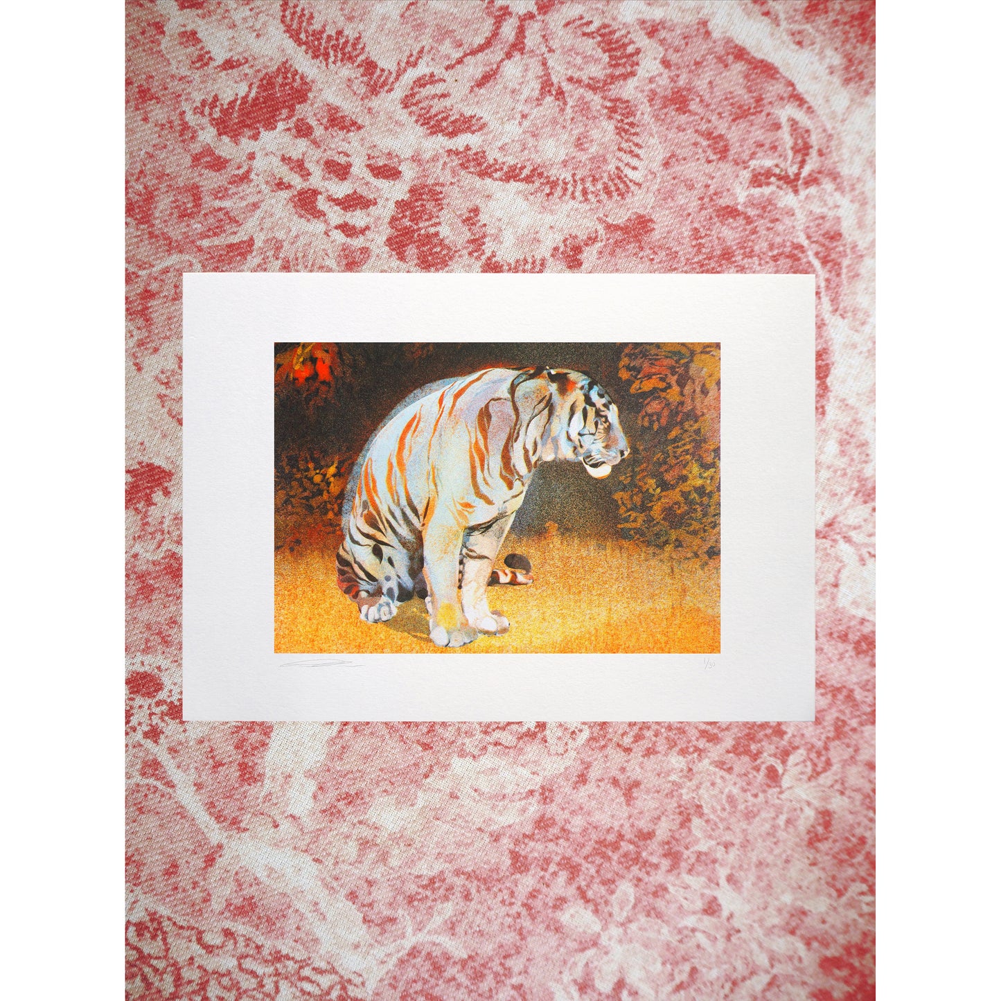 Tiger in The Bear Rainforest