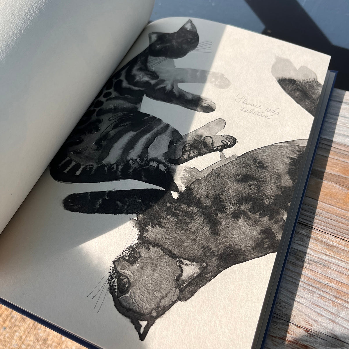 Sabinka a Makulka Art Book