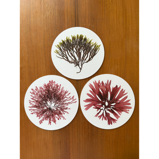 Seaweed Print Mantelpiece Card Set