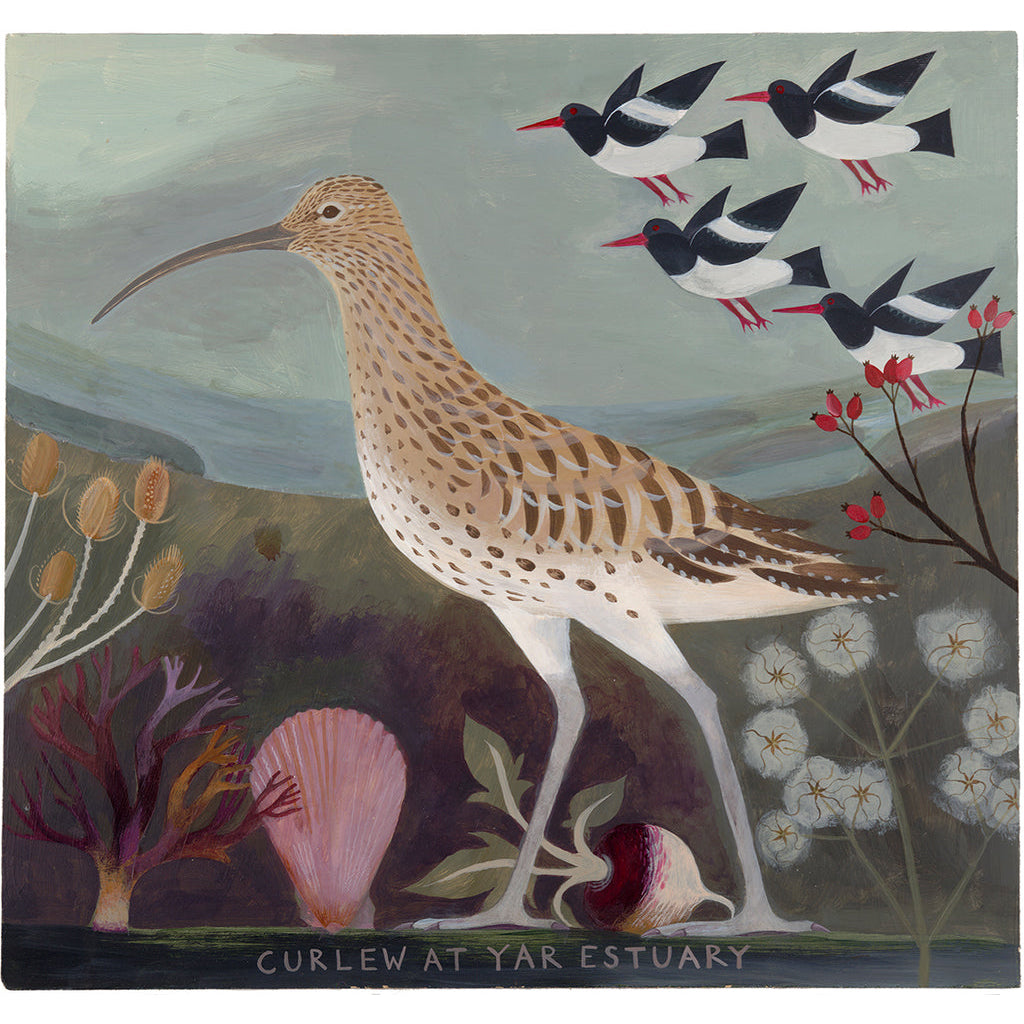 Curlew