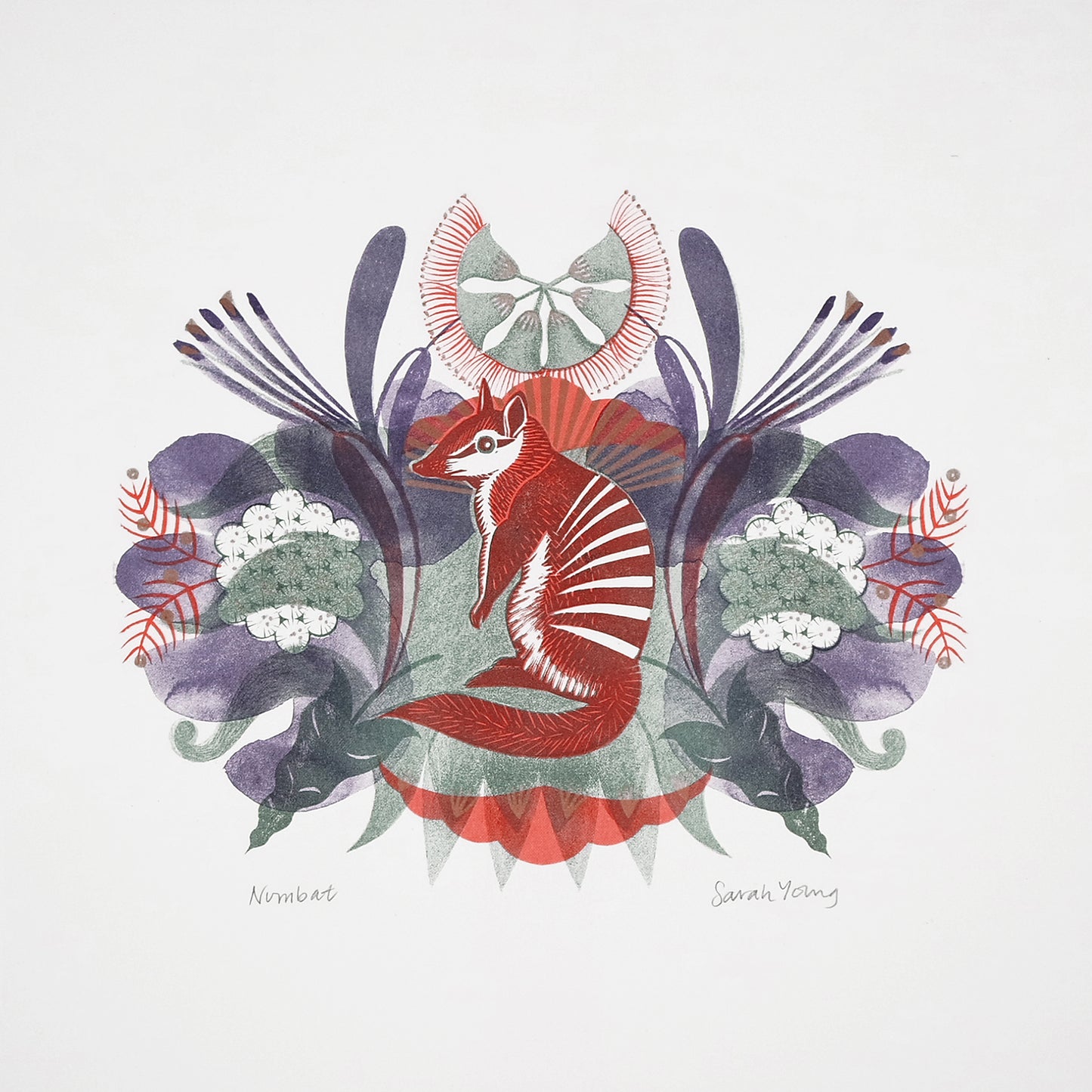Numbat Risograph Print