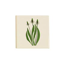 Load image into Gallery viewer, Plaintain Coaster