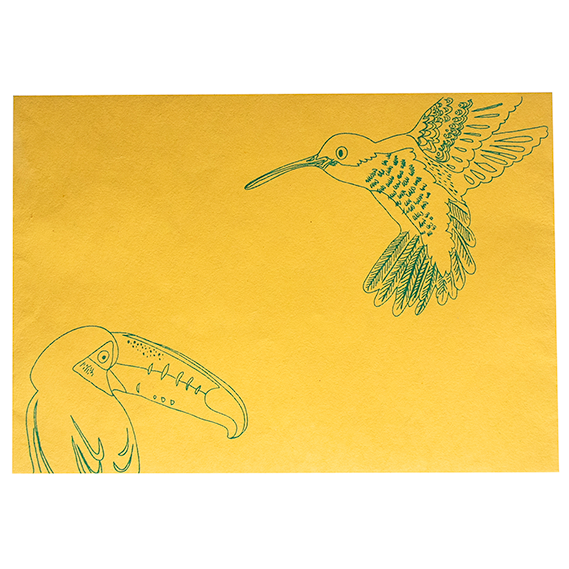 Toucan Greeting Card