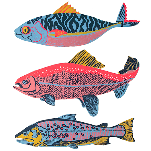 Trout Greeting Card