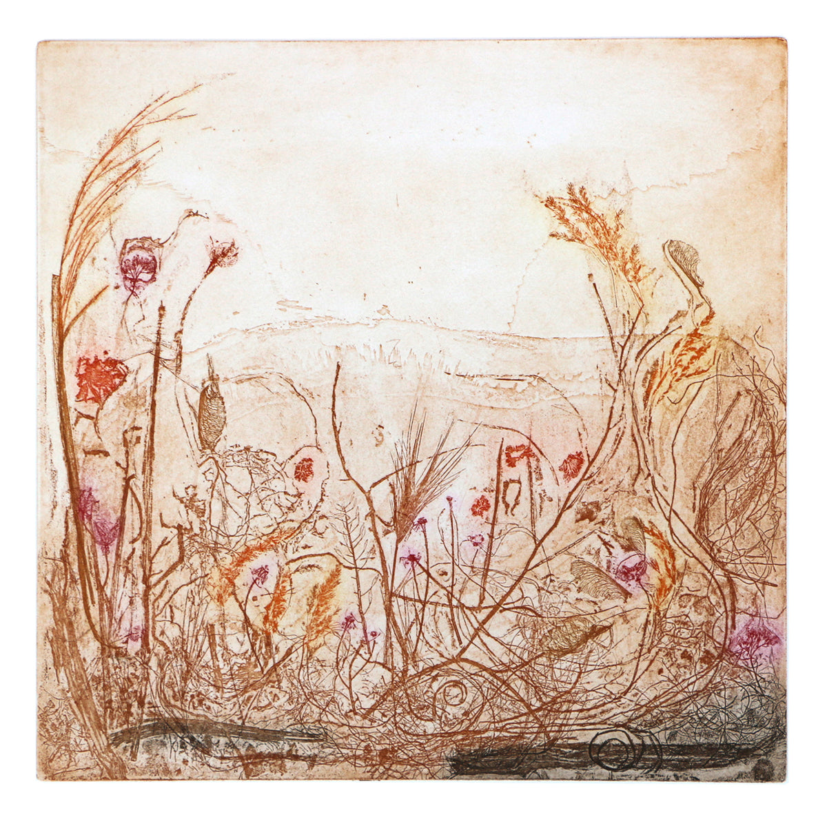 Summer Garden Greeting Card
