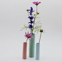 Load image into Gallery viewer, Stem Vases Miami Pink