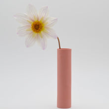Load image into Gallery viewer, Stem Vases Miami Pink