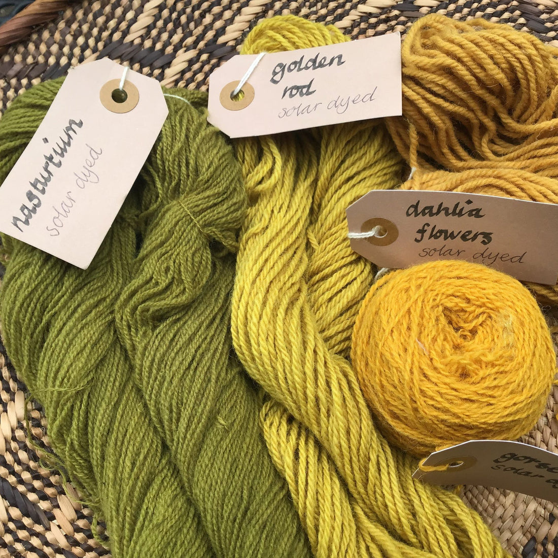 Natural Dyeing for Beginners
