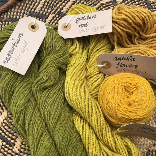Natural Dyeing for Beginners