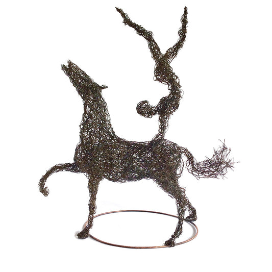 Wire Sculpture Workshop with Linda Lewin