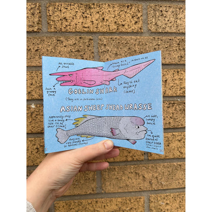 Suspicious Fish Zine