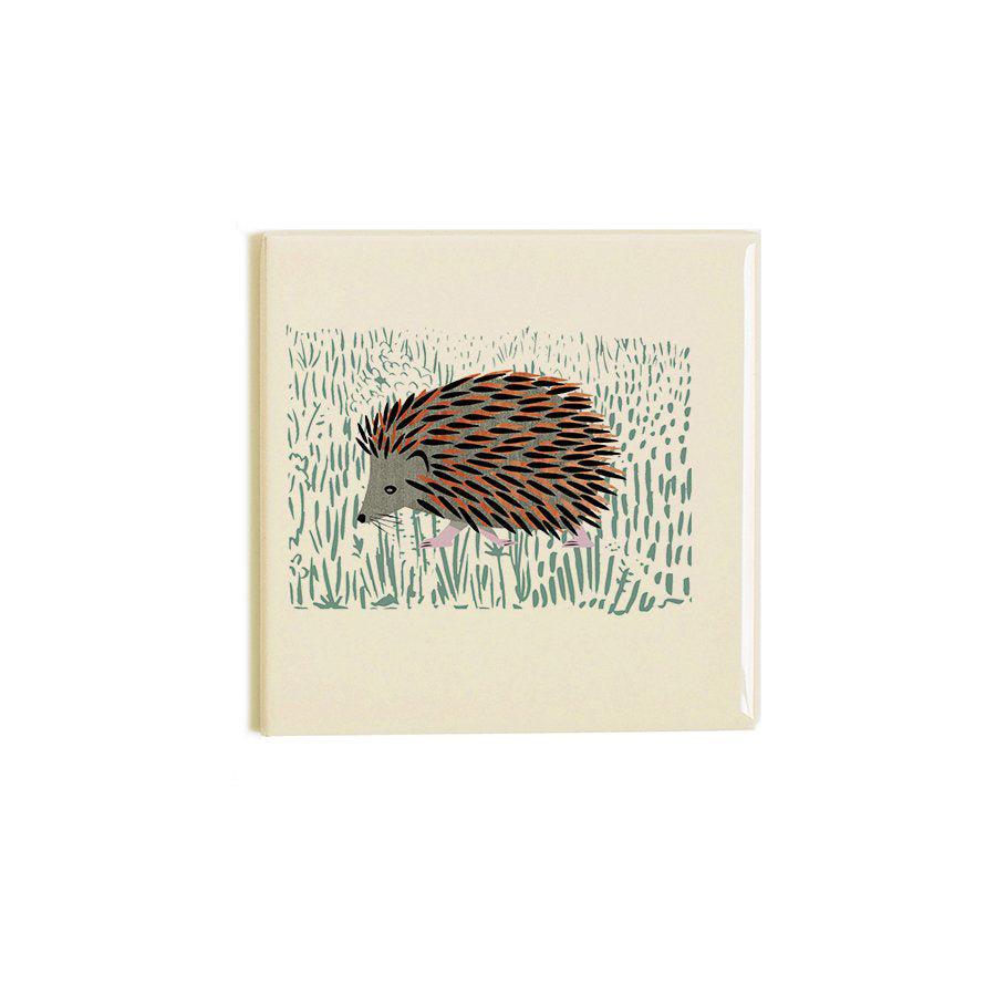 Hedgehog Coaster