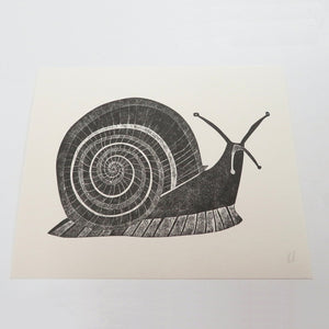Snail Print
