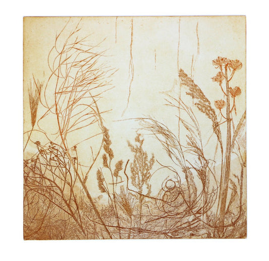 Grasses