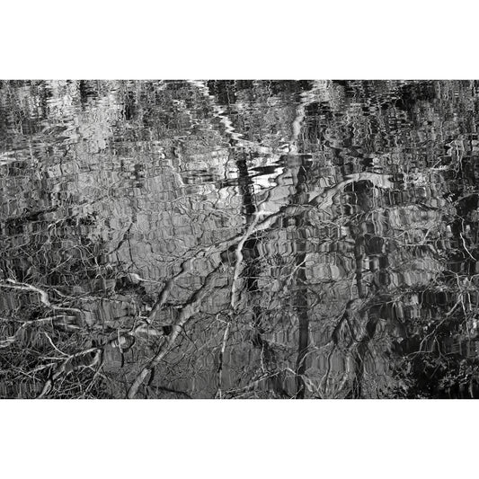 The puzzle of water