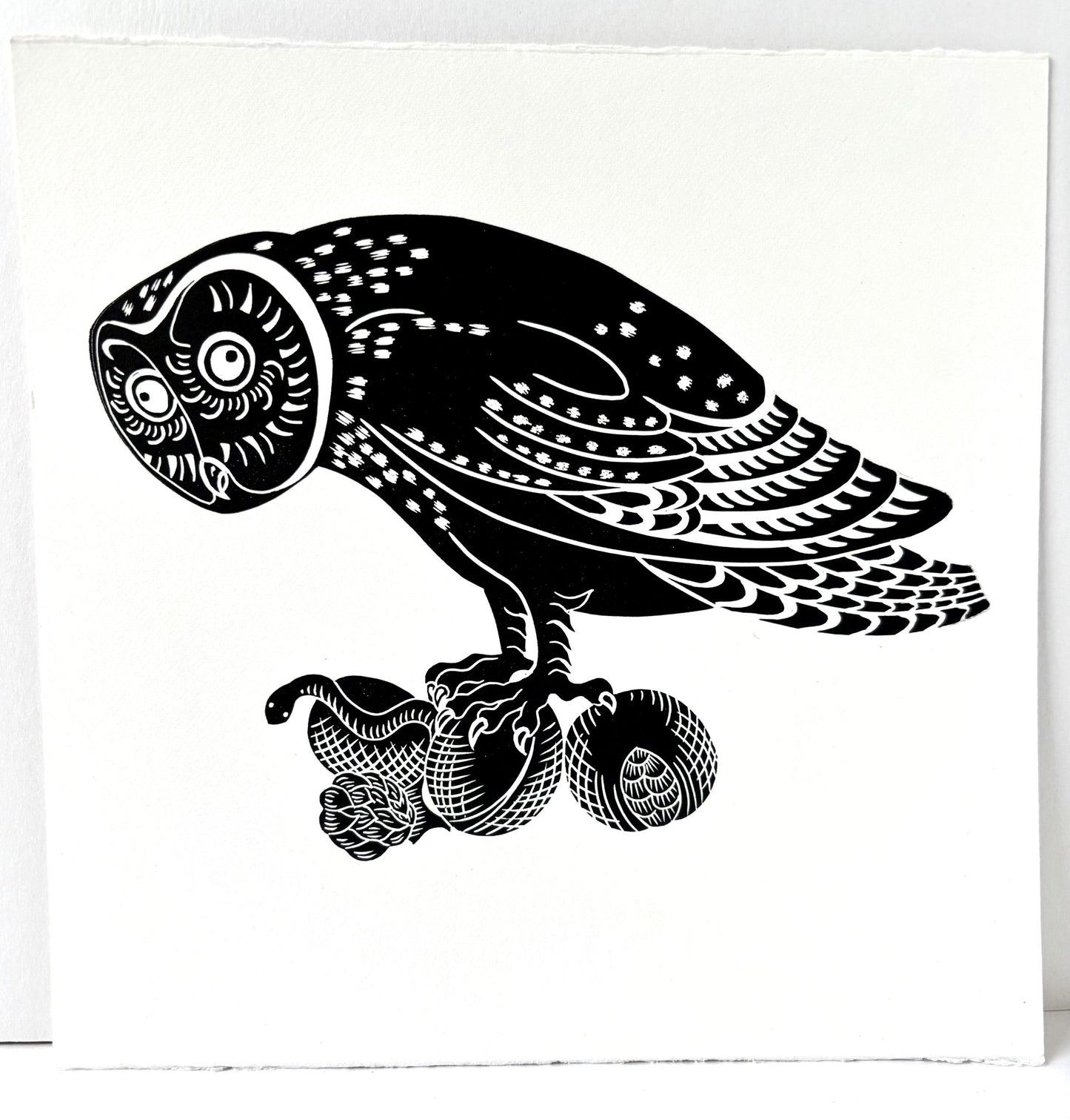 Anxious Owl