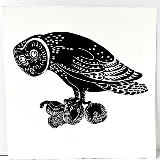 Anxious Owl
