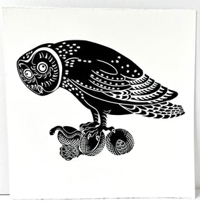 Anxious Owl
