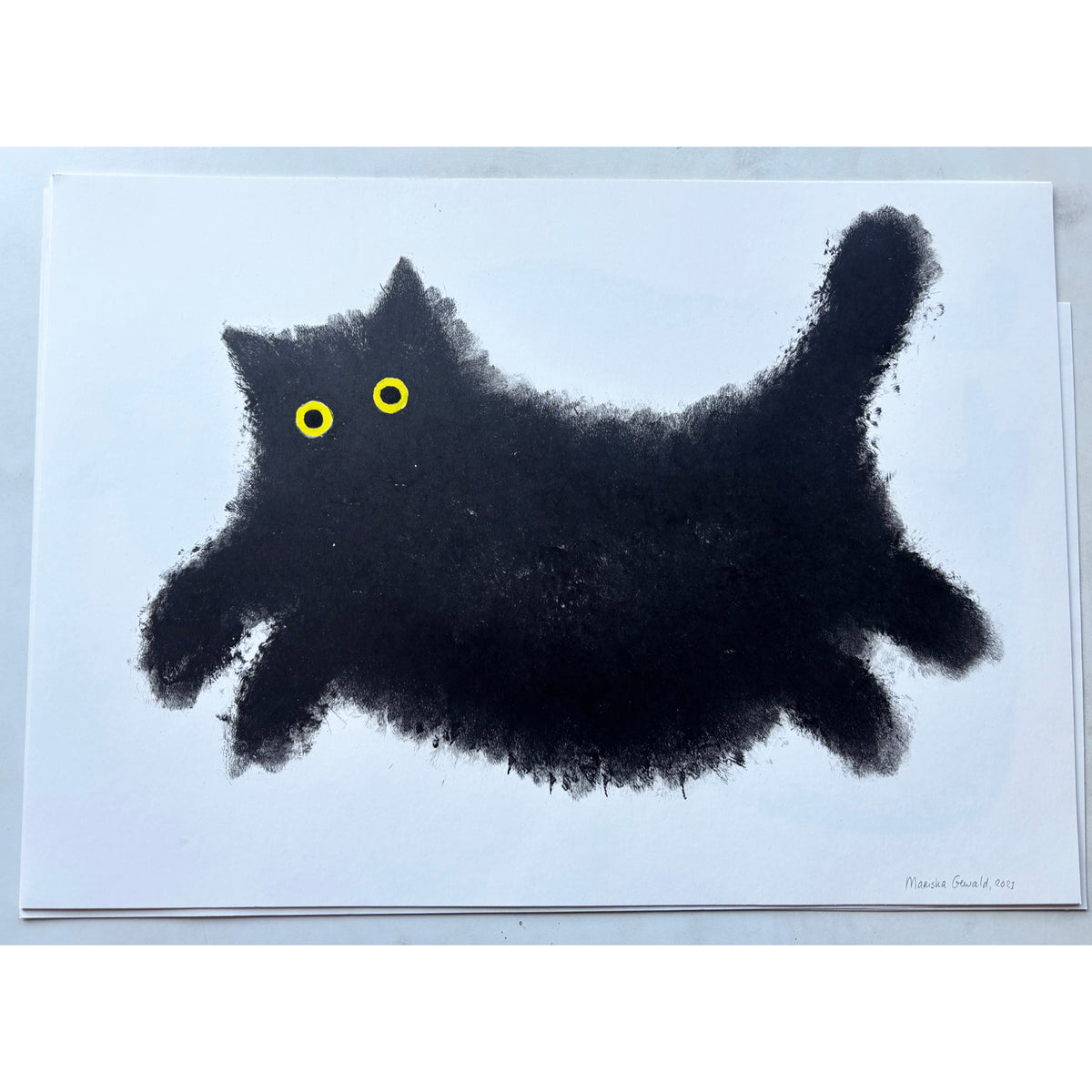 Fluffy Black Cat