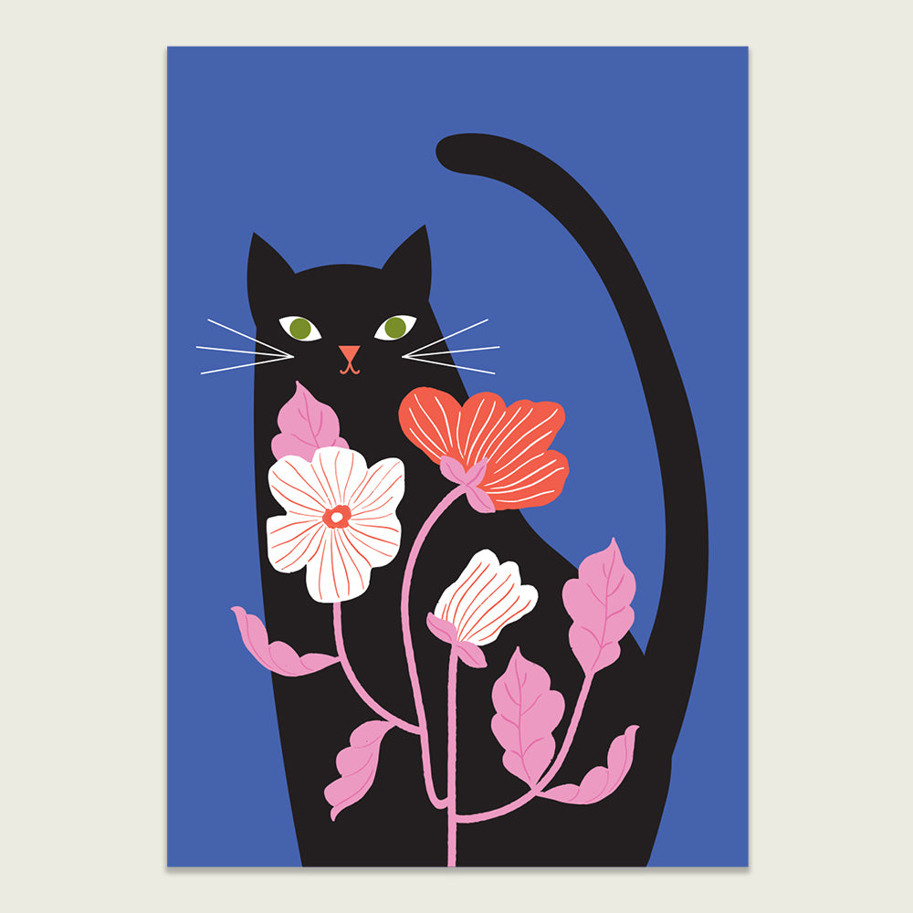 Quizzical Black Cat