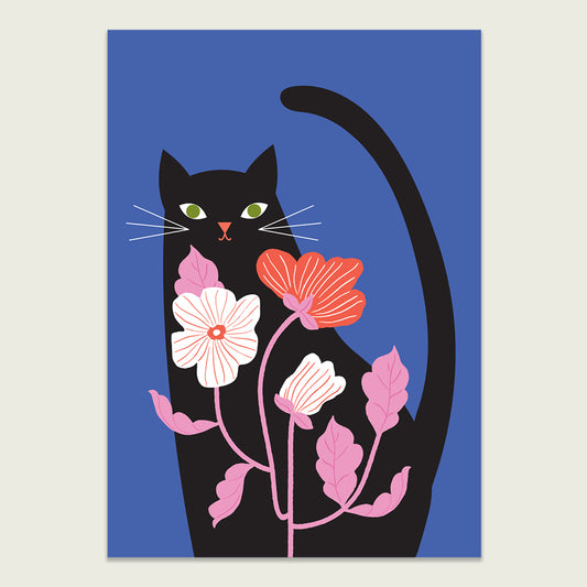 Quizzical Black Cat