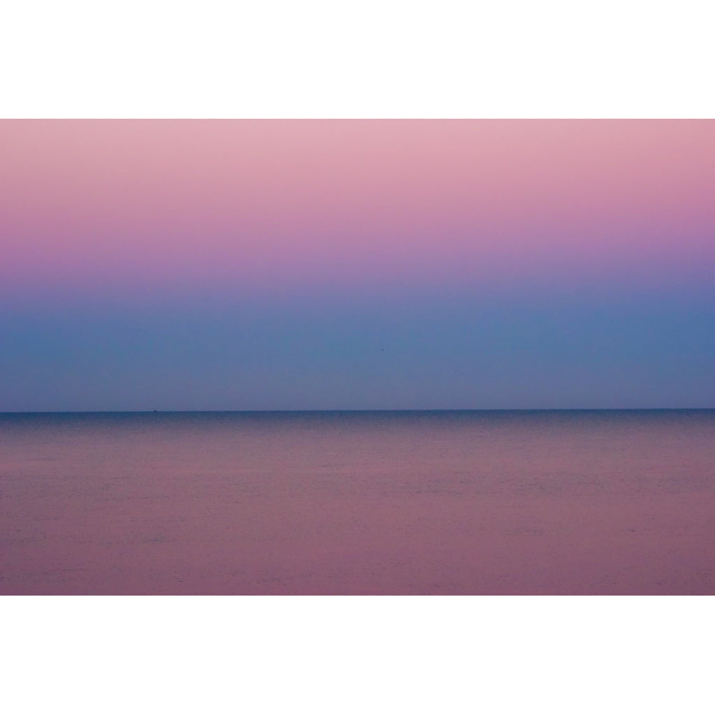 Blush Tide
