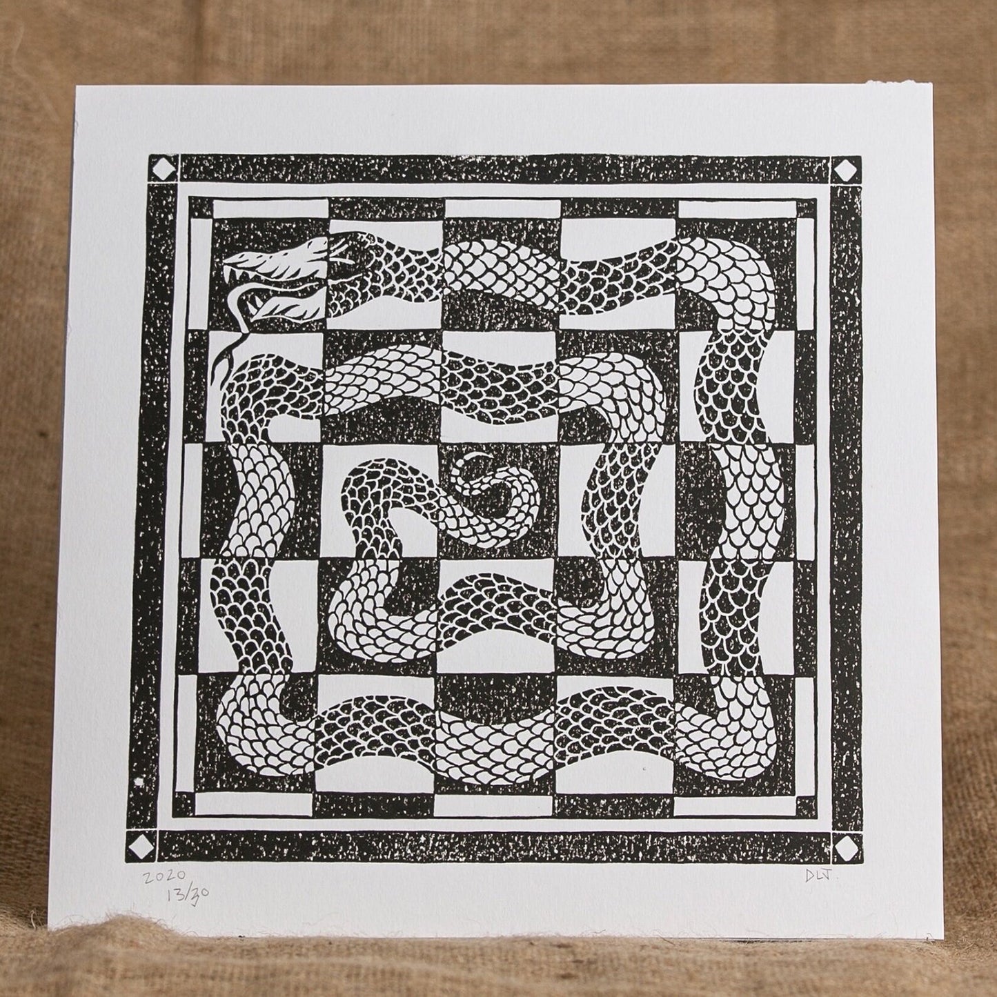 Chequered Snake Print