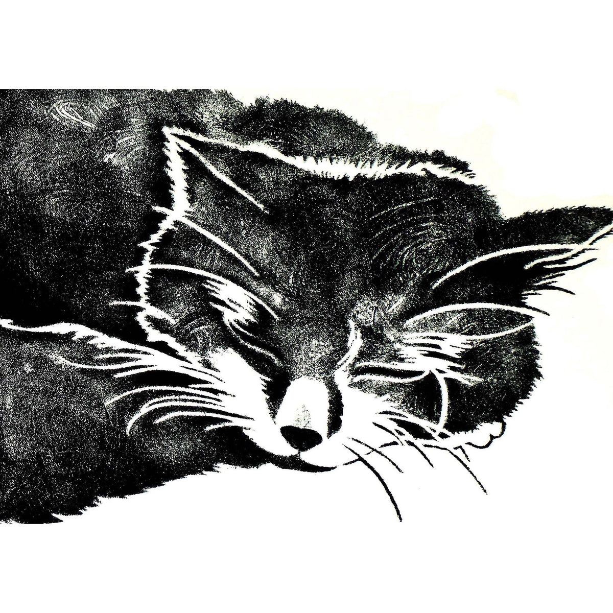 Dreaming Greeting Card