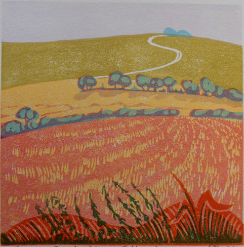 Evening Glow - Folkington