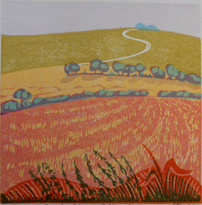 Evening Glow - Folkington