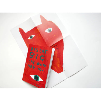 Big Cat Big Cat Where Are You? Zine