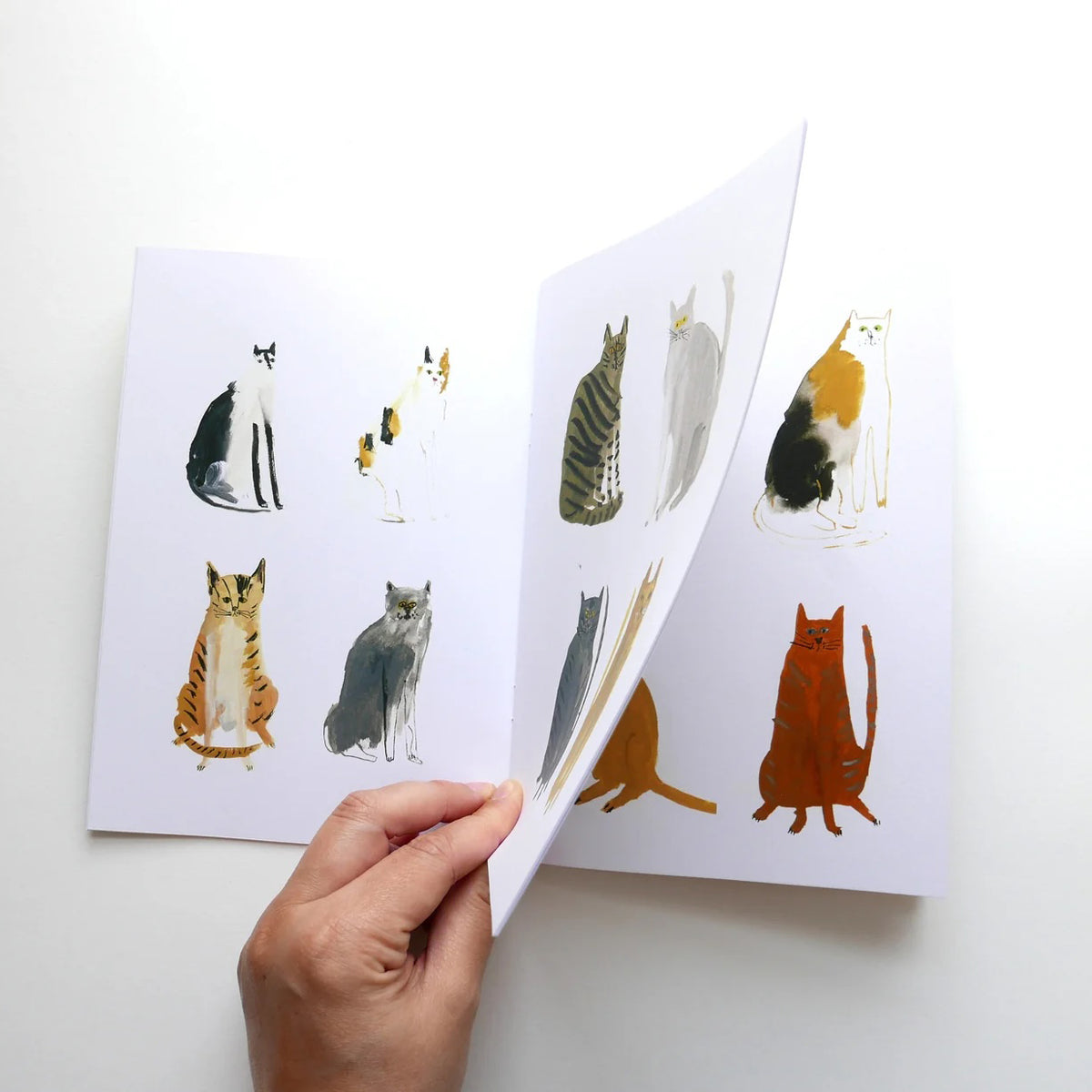 One Hundred Curious Cats Zine